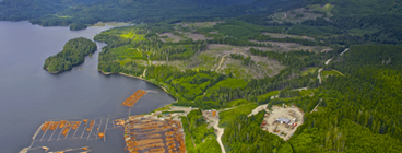 steelhead lng on providing.png